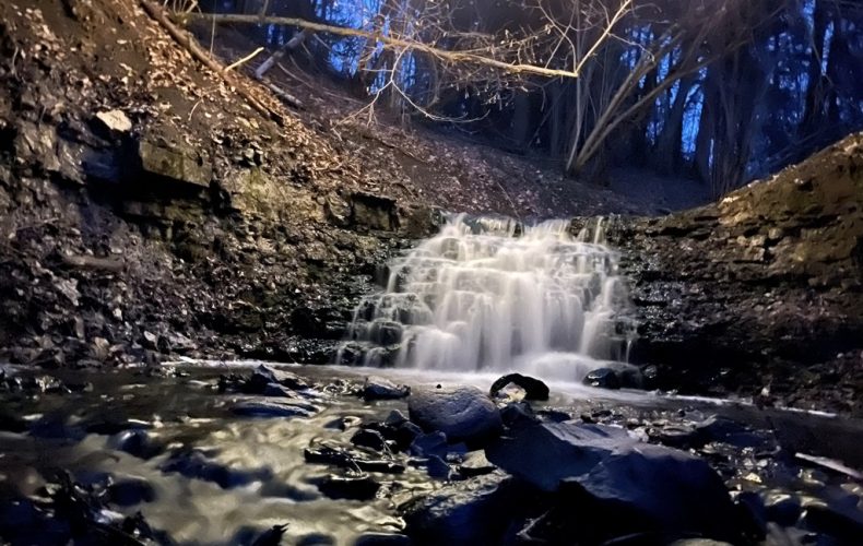 Virsaišu izdzīvotājs6