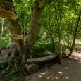 Kalnsētas parks