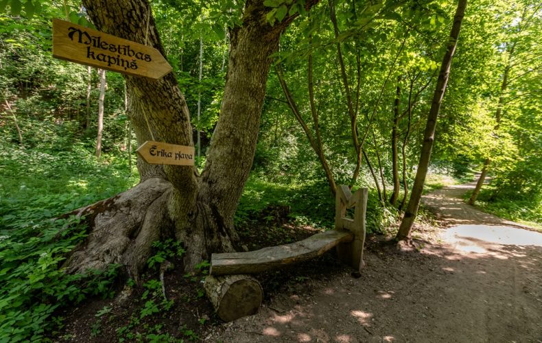 Kalnsētas parks