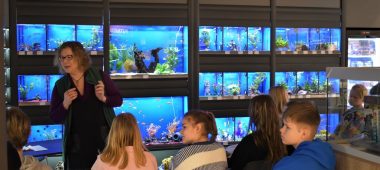 Educational excursions for children about the world of pets!