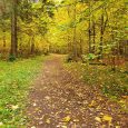 Emzes parks (2)