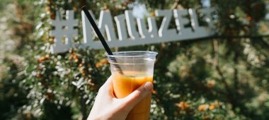 An educational and delicious adventure in the Sea Buckthorn Garden