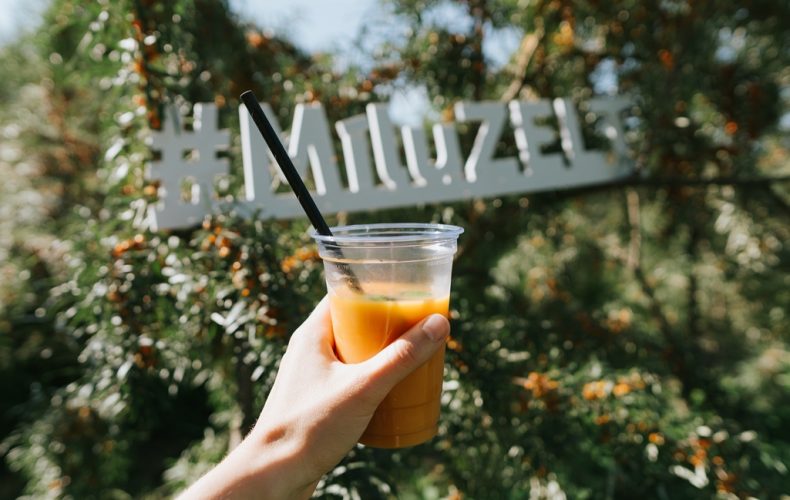 ZELT_festivāls-43 (1)