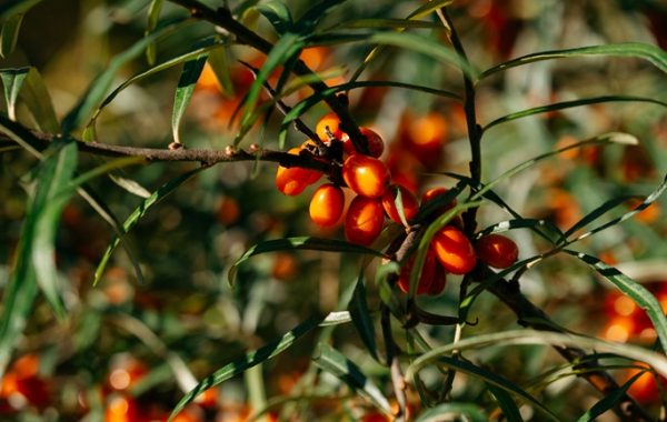 ekskursija_berniem-16