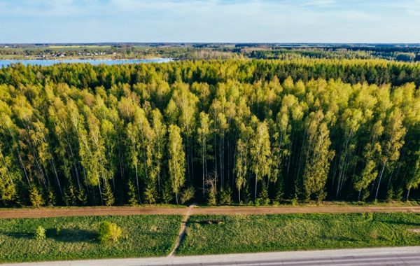 Mežaparks. Kaspars Siliņš