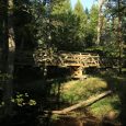 Mazbanisa.dabas_.taka