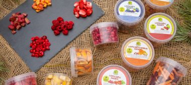 Green open freeze-dried products