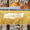 Kotini_014