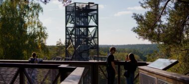 Treetop walking trail in Anīkščiai Regional Park