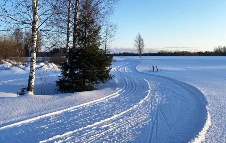 Hand_cardboard_factory_trase_02