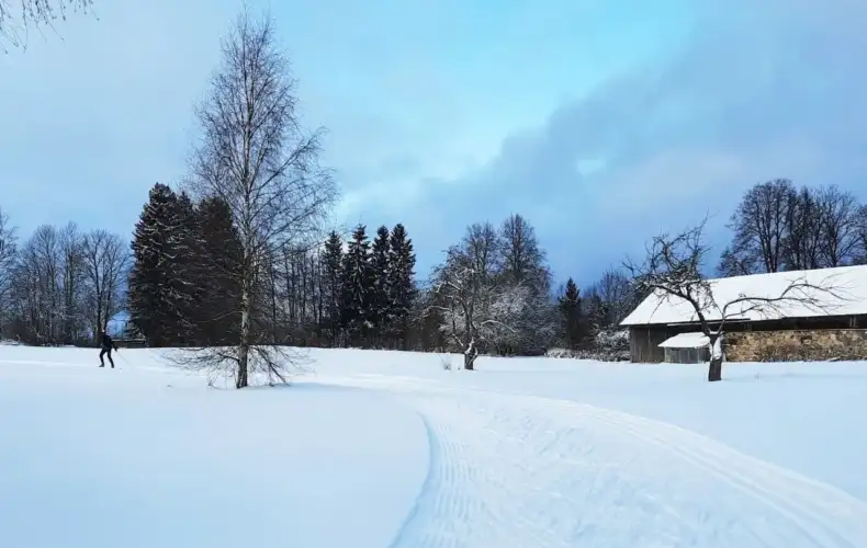 Rankas_kartonfabrikas_trase_03