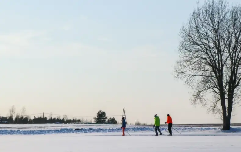 Rankas_kartonfabrikas_trase_04