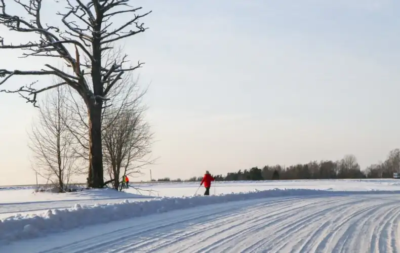 Rankas_kartonfabrikas_trase_05