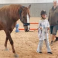 Zirgu_terapijas_centrs_05
