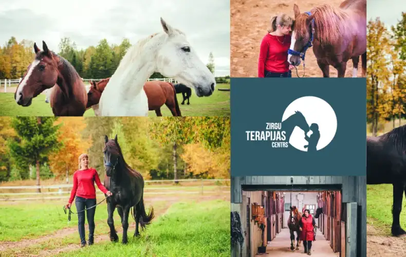 Equine_therapy_centre_10