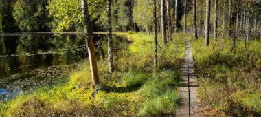 Lake Paukjärve nature trail