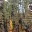 paukjerves-ezera-dabas-taka-un-telsu-vieta-004