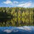 paukjerves-ezera-dabas-taka-un-telsu-vieta-005