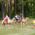 raksi-zoo-001