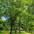 sakas-muizas-parks-un-iezu-ekspozicija-1-009