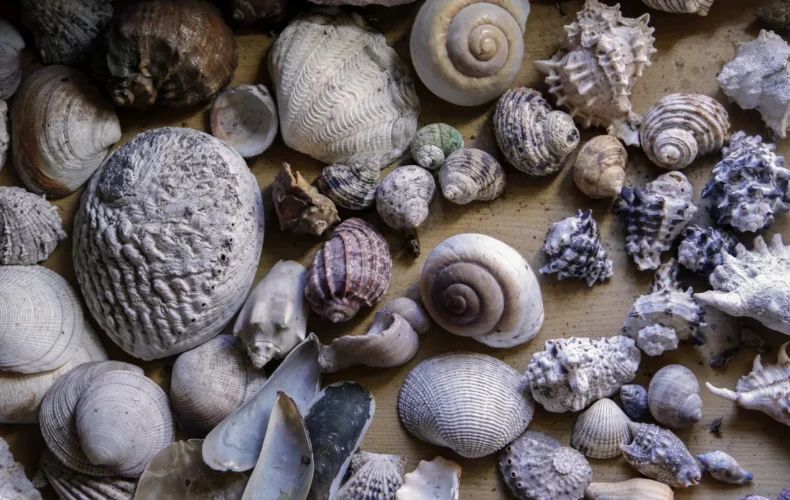 vaidavas-akmenu-parks-013