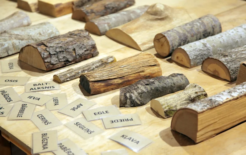 vienkocu-parks-kokamatniecibas-muzejs-005