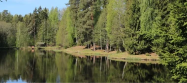 “Rīgas mežu” Environmental Education Centre “EkVidO”