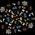 rsu-anatomy-museum-005