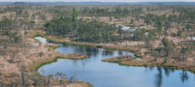 Nature Conservation Agency’s Ķemeri National Park Nature Centre