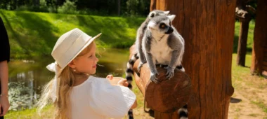 Rakši Zoo